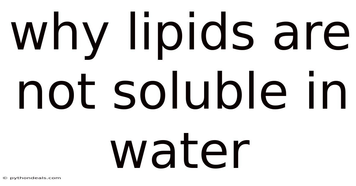 Why Lipids Are Not Soluble In Water