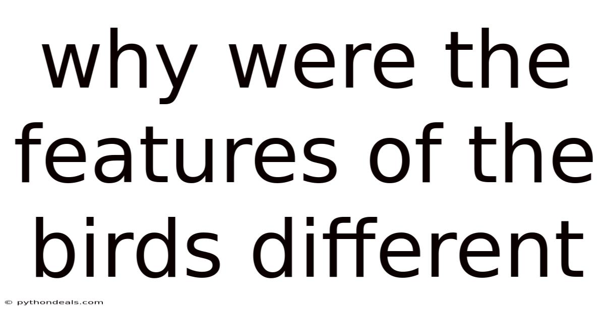 Why Were The Features Of The Birds Different